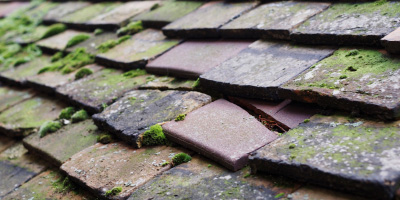 Belvoir roof repair costs